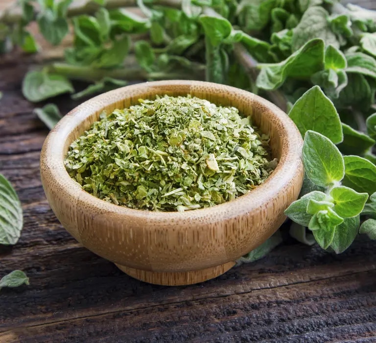 Oregano