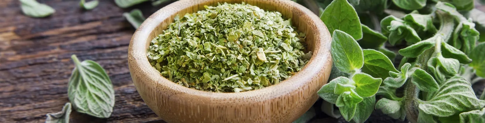 Oregano