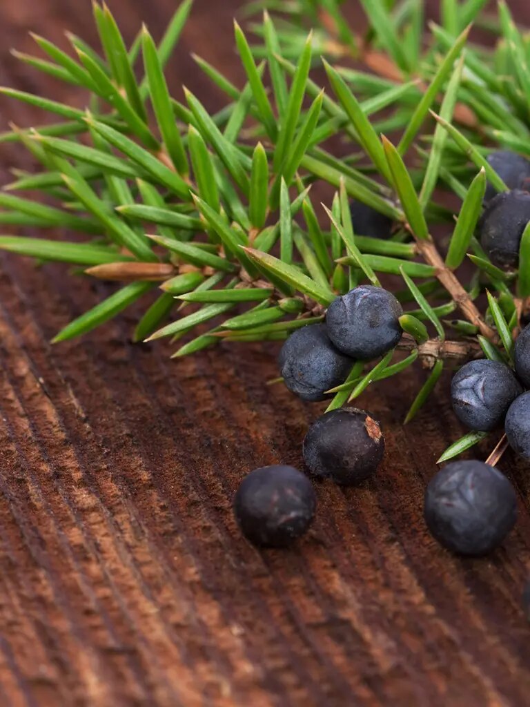 Wacholderbeeren