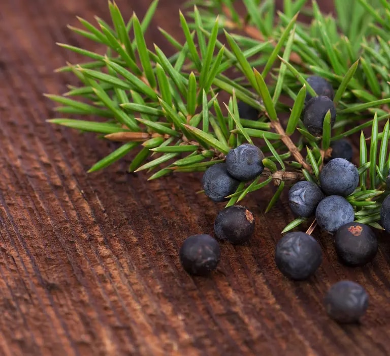 Wacholderbeeren