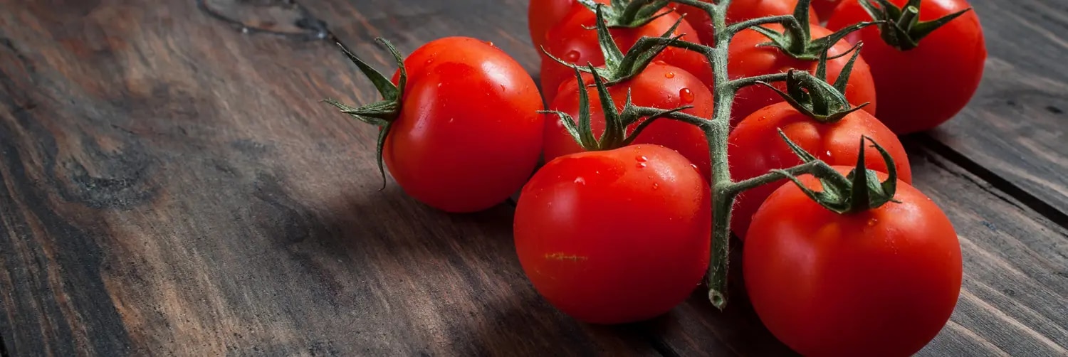 Tomaten