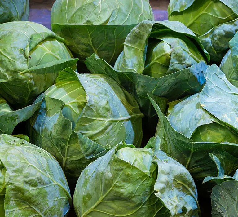 Spitzkohl zubereiten