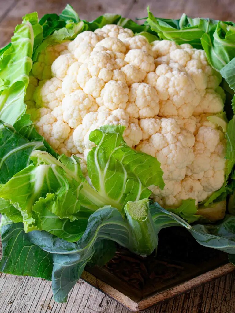 Blumenkohl