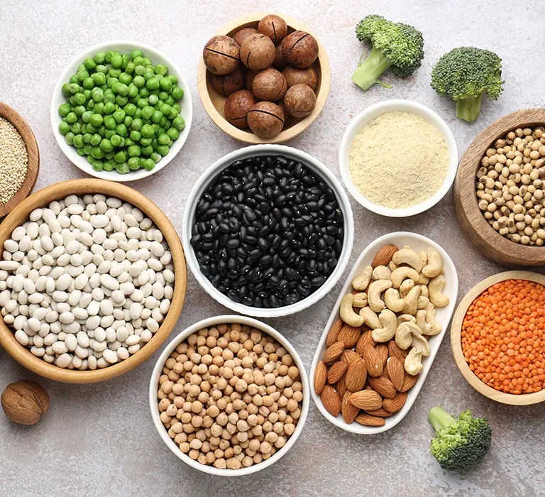 Schalen mit Bohnen, Linsen, Erbsen, Kichererbsen, Nüssen, Quinoa und Brokkoli auf hellem Untergrund