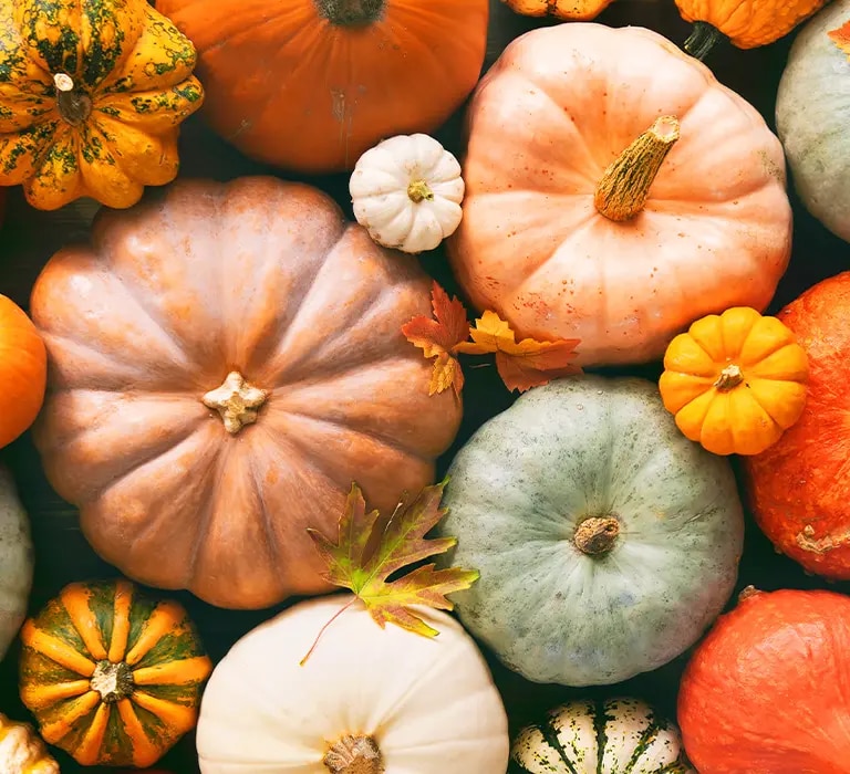 Verschiedene Kürbisse in Orange-, Weiß- und Grüntönen mit Herbstblättern auf Holzuntergrund