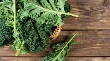 Die richtige Vorbereitung ist alles