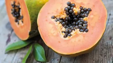 Papaya
