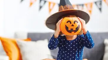 Herbstzeit ist Kürbiszeit - Alles über den Kürbis!