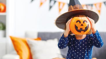 Herbstzeit ist Kürbiszeit - Alles über den Kürbis!