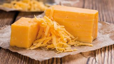 Cheddar