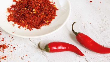 Chili Schote: Alles Wissenswerte rund um die scharfe Zutat