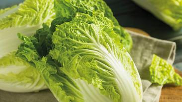 Chinakohl Schritt für Schritt Zubereitung