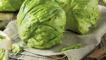 Eisbergsalat
