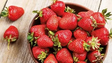 Erdbeeren 