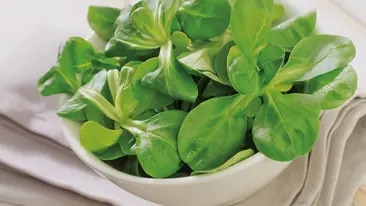Feldsalat