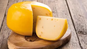 Gouda