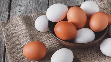 Eier