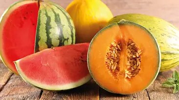 Melone