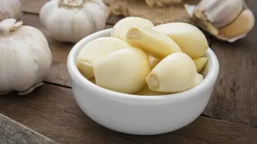 Knoblauch
