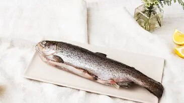 Frischen Fisch schuppen