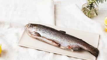 Frischen Fisch schuppen