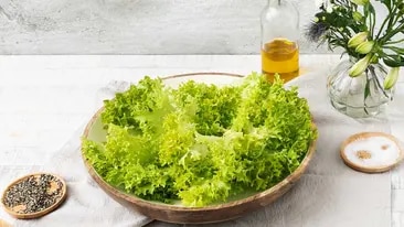 Salat vorbereiten