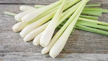 Zitronengras