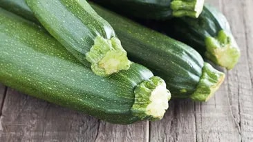 Zucchini