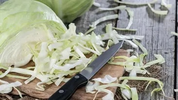 Weißkohl