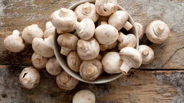 Champignons