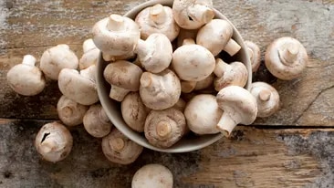 Champignons