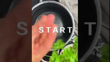 Unser Rezept zu One Pot Mac & Cheese