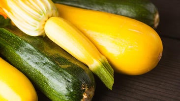 Zucchini: Koch-Methoden und leckere Rezepte mit MAGGI