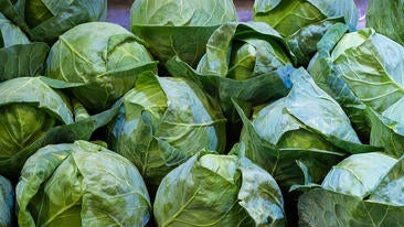 Spitzkohl zubereiten leicht gemacht: die perfekte Beilage