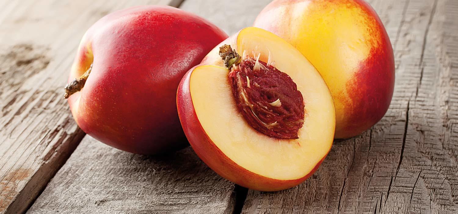 maggi kochratgeber nektarinen