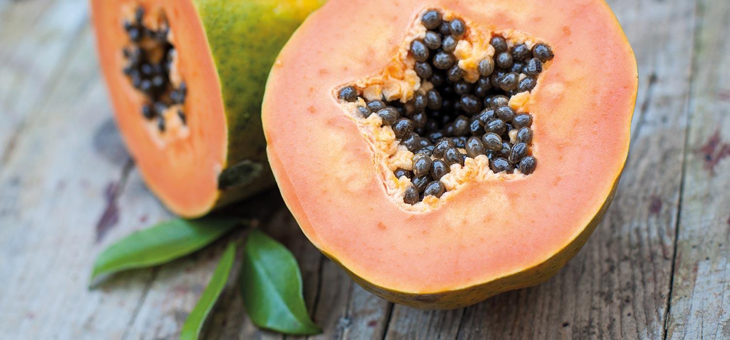 maggi kochratgeber papaya