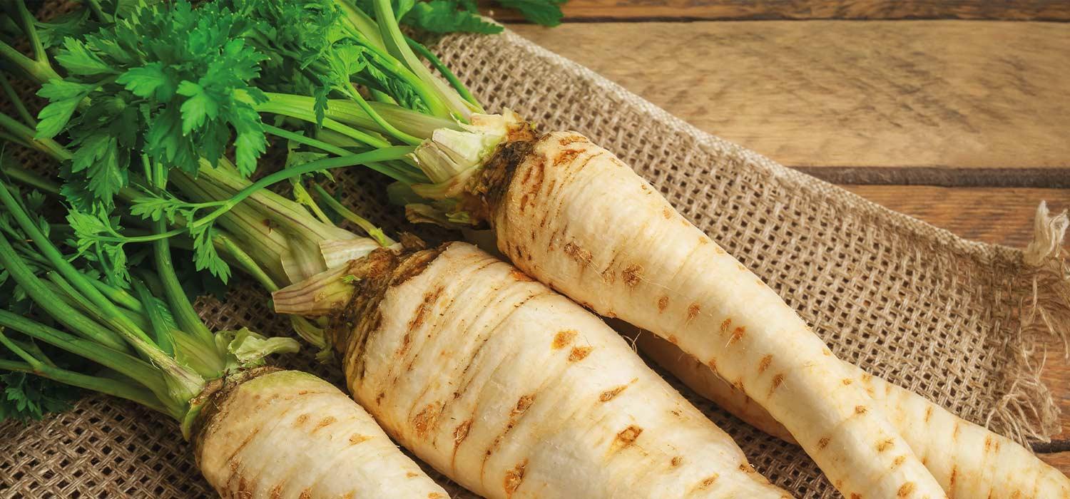 maggi kochratgeber pastinake