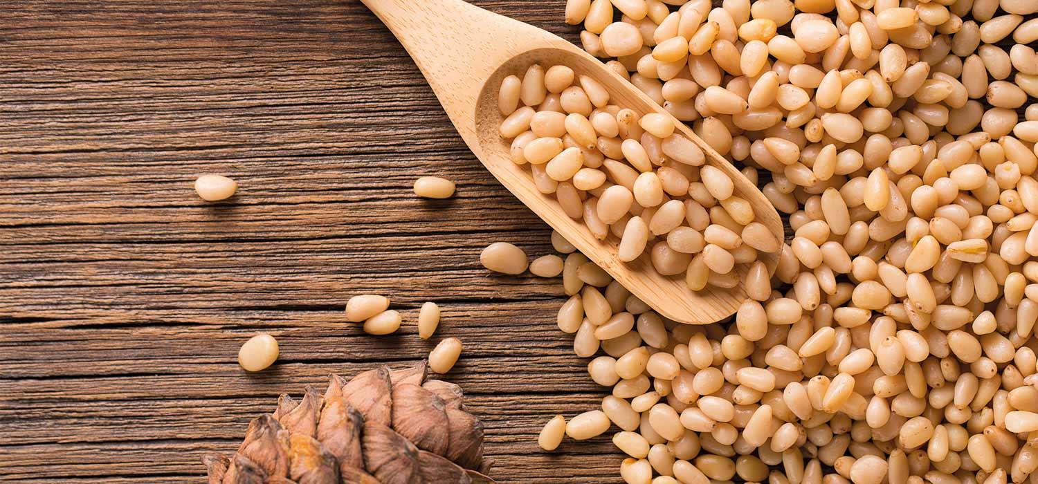 maggi kochratgeber pinienkerne