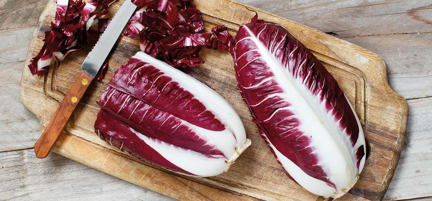 maggi kochratgeber radicchio