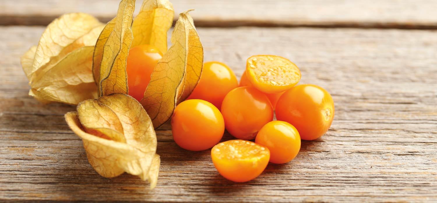 maggi kochwissen physalis