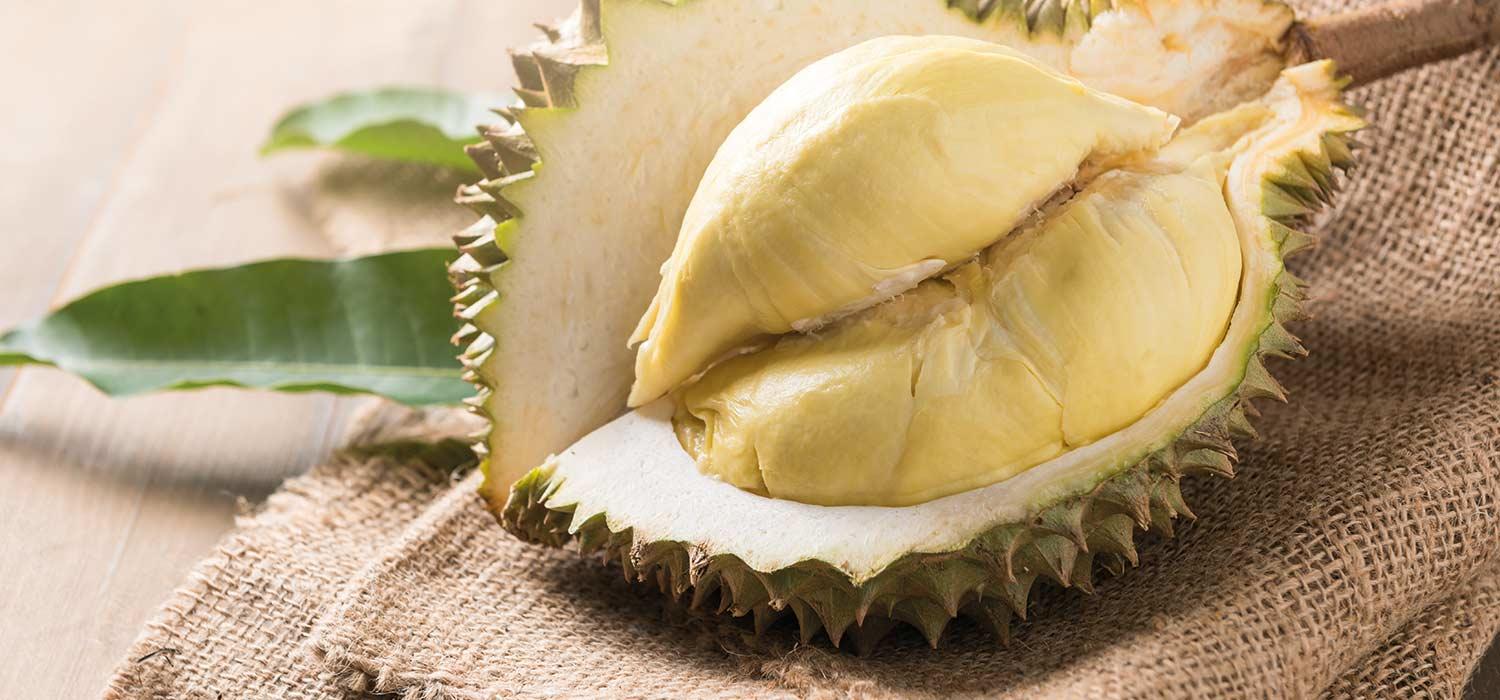 maggi-kochratgeber-durian