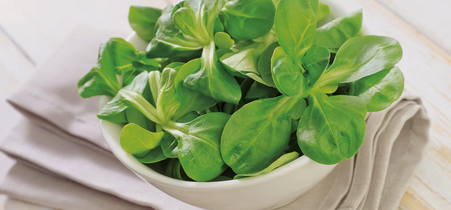 Gewaschener Feldsalat in einer Schüssel