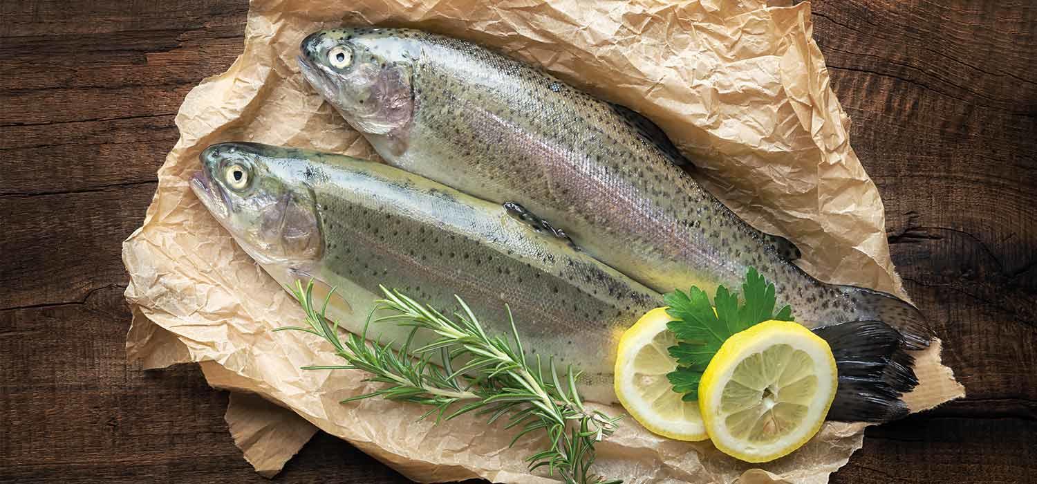 maggi-kochratgeber-forelle