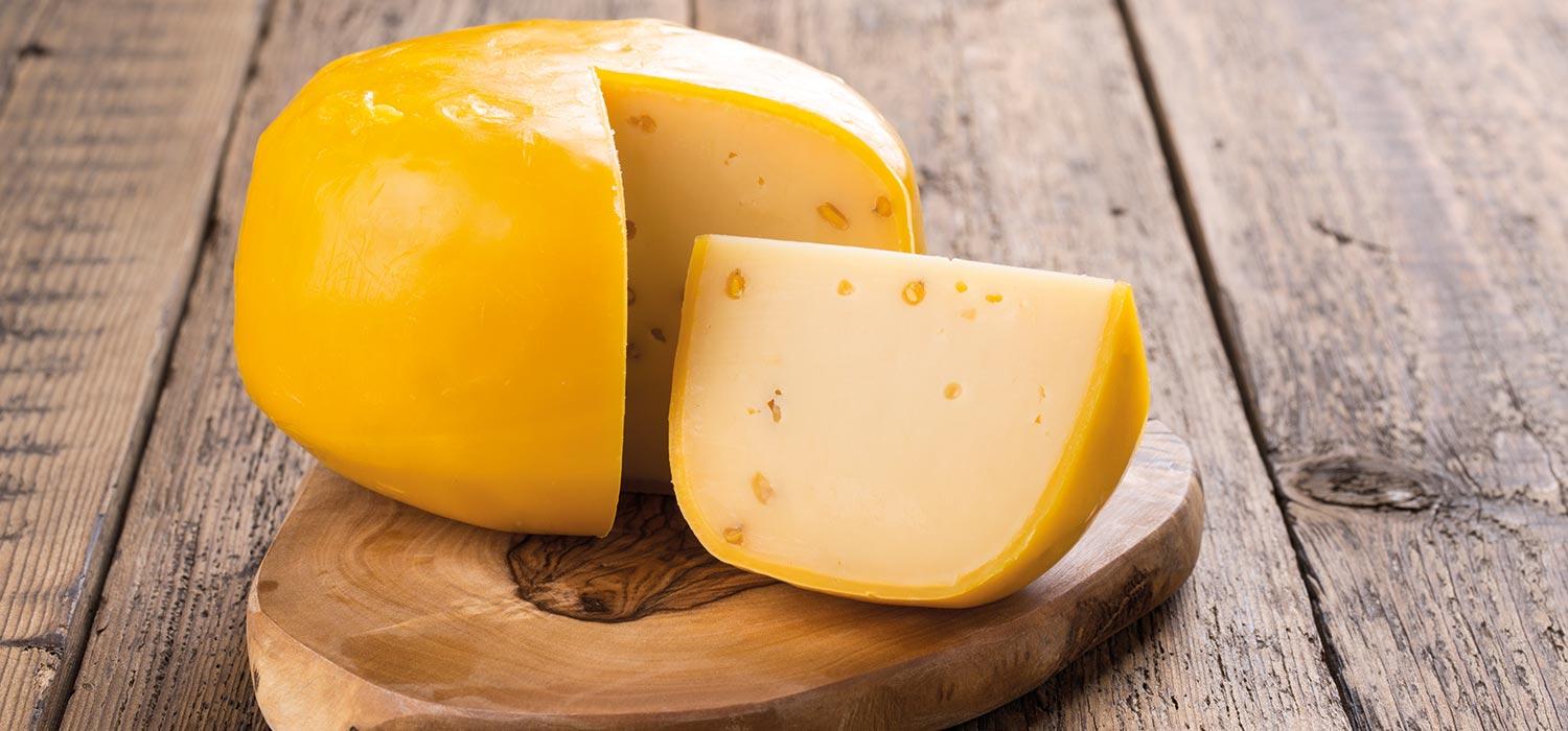 maggi-kochratgeber-gouda