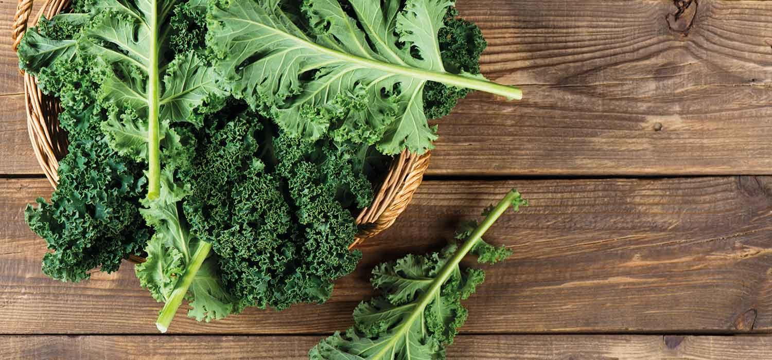 maggi-kochratgeber-gruenkohl