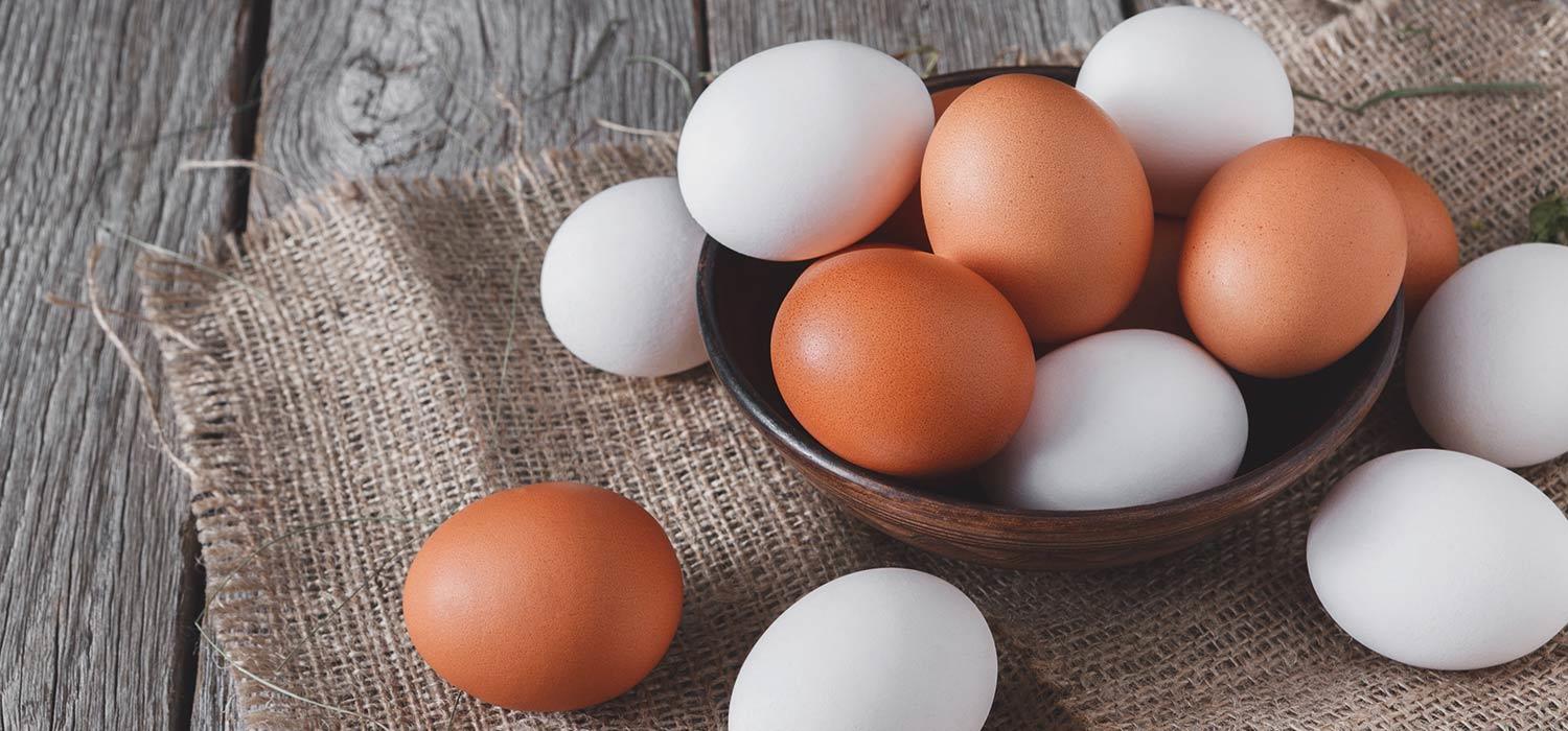 maggi kochratgeber kochwissen eier