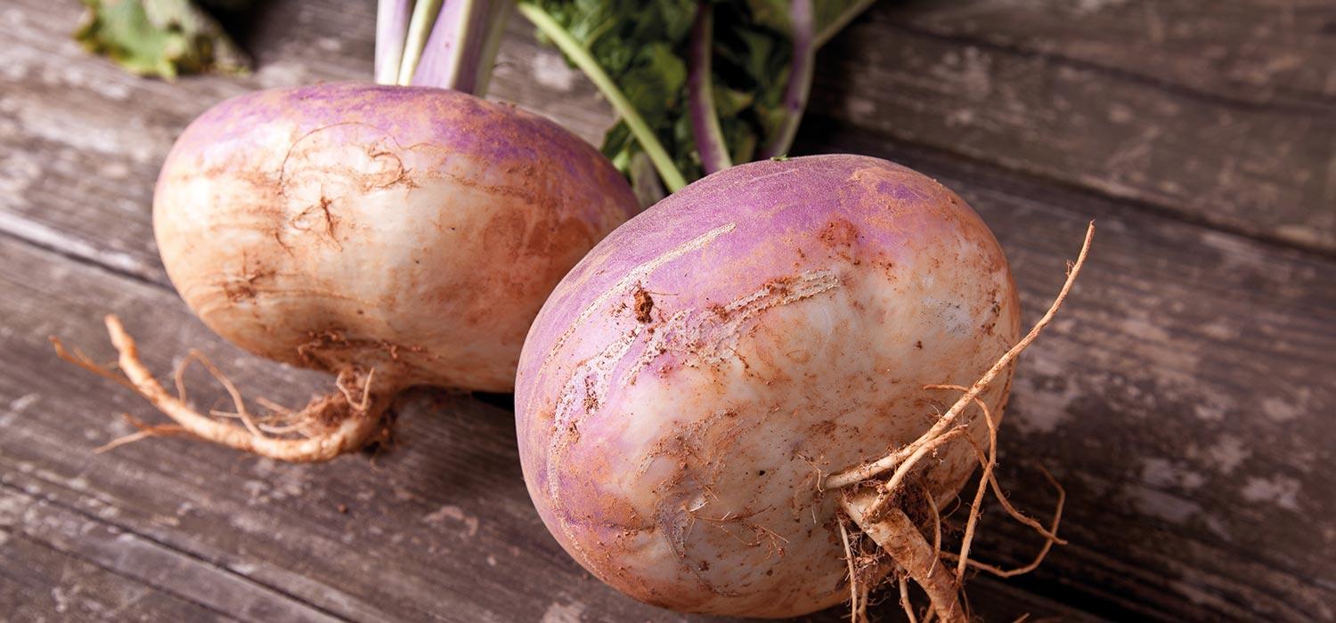 zwei Kohlrüben auf einem Holztisch