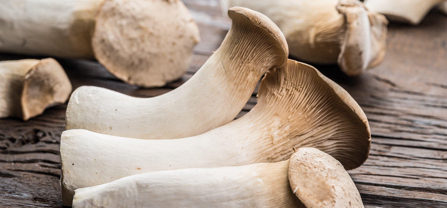 maggi kochratgeber kraeuterseitlinge