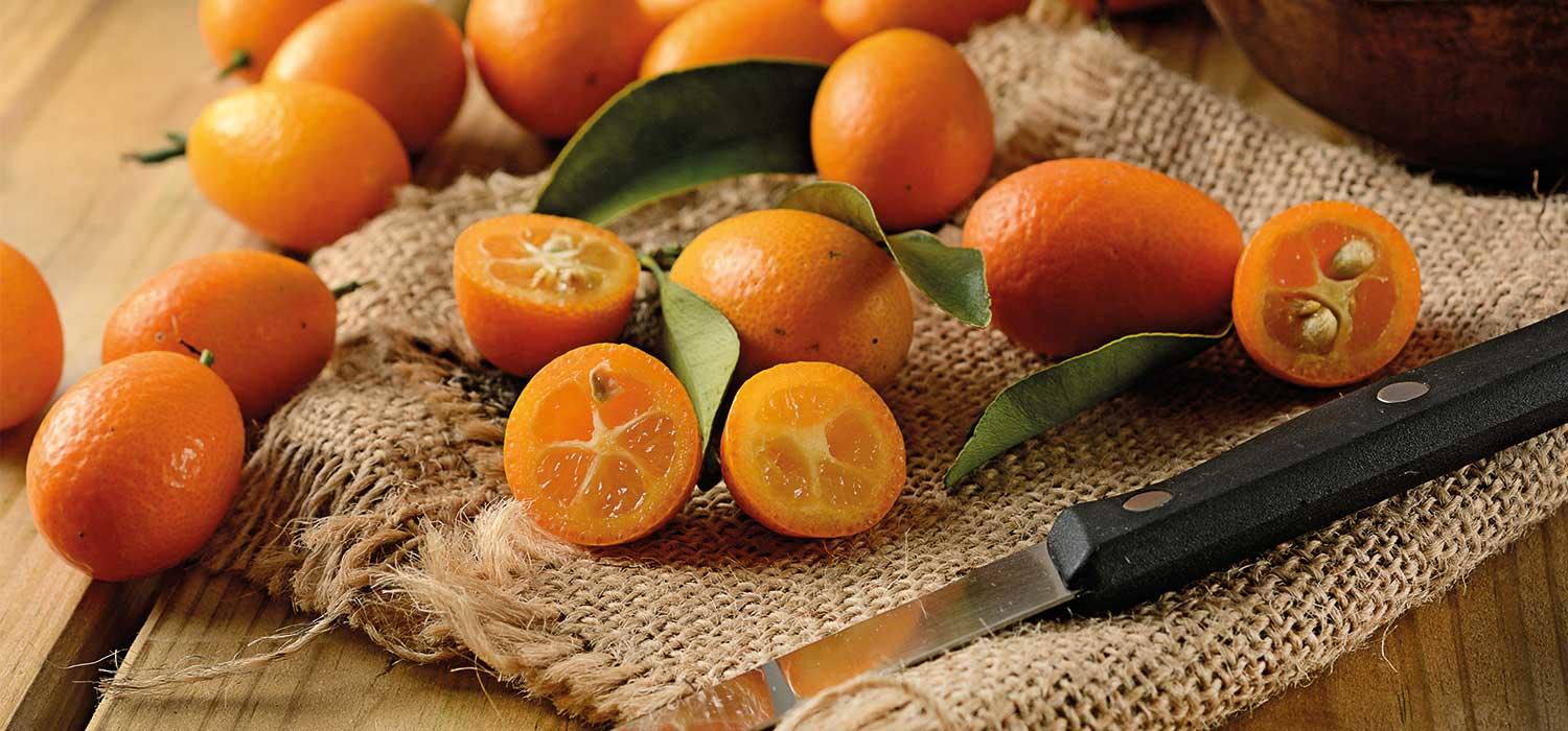 maggi-kochratgeber-kumquat