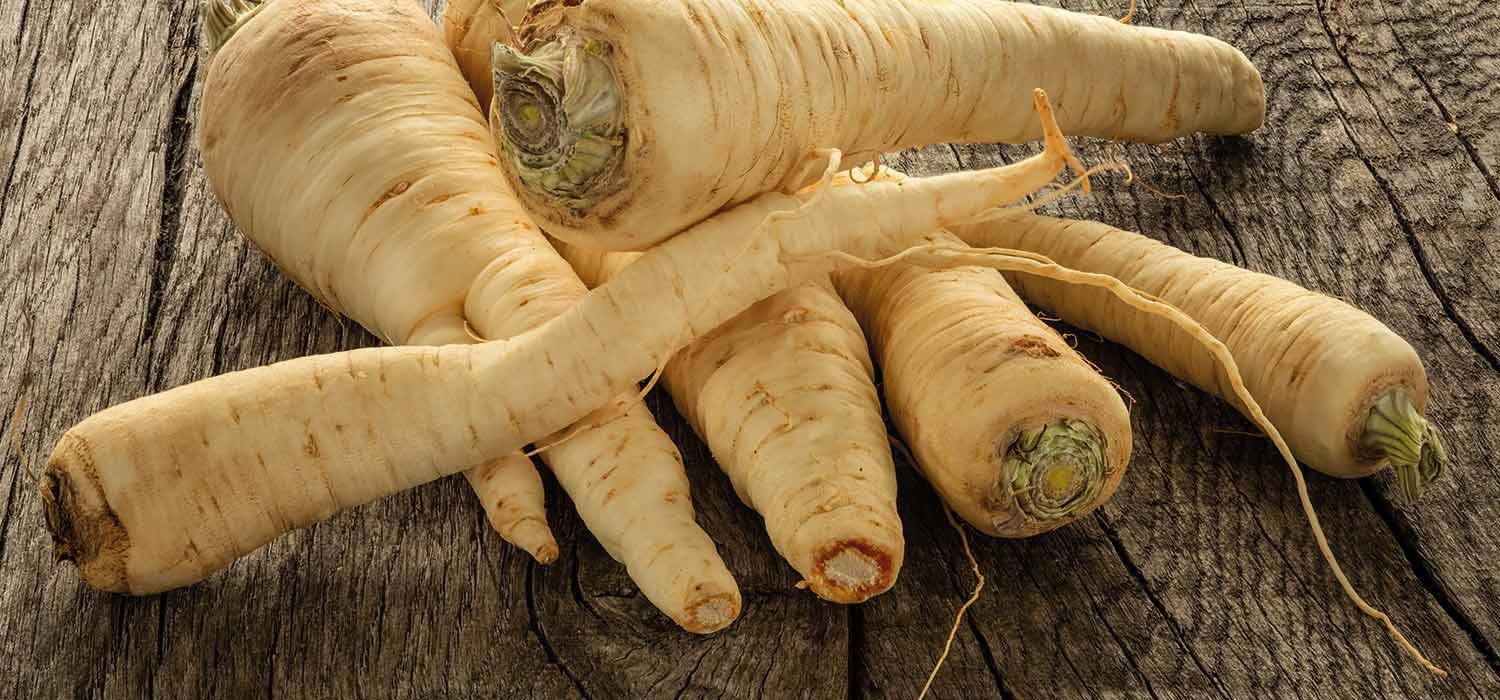 maggi-kochratgeber-petersilienwurzel